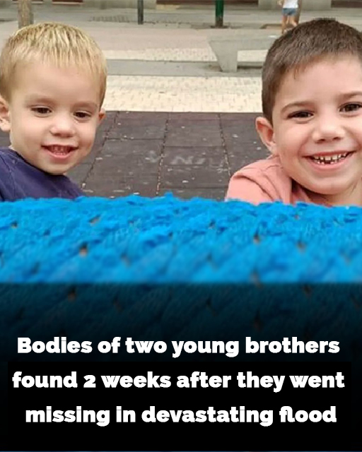 Tragic discovery missing brothers found after flood Story