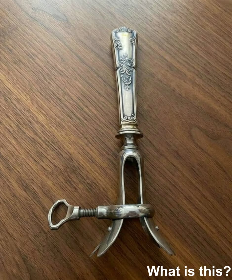 The Forgotten Drawer Discovery That Brought a Family Closer Together
