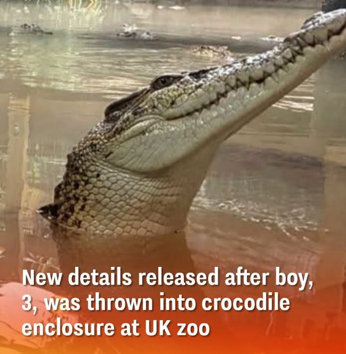 Three-Year-Old Recovering After Serious Incident at Cambridgeshire Zoo