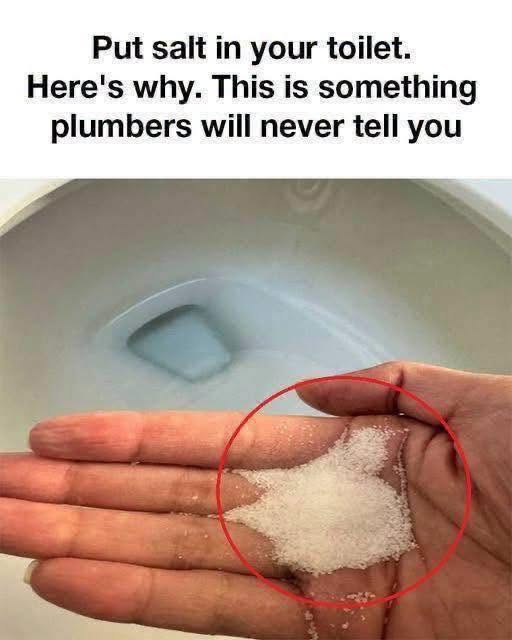 Why Some Homeowners Put Salt in Their Toilet—and What It Can Help With