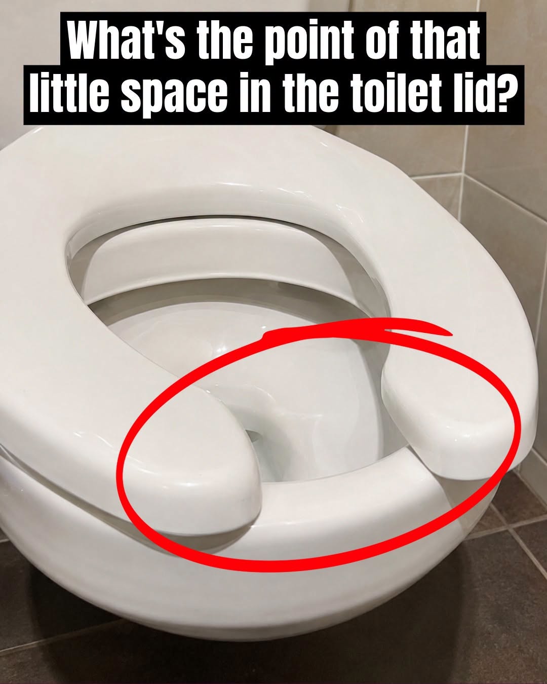 Have You Ever Wondered Why Public Restrooms Have U-Shaped Toilet Seats?