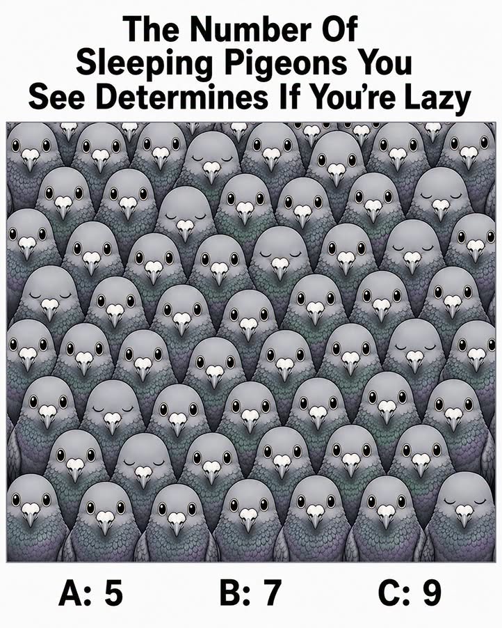 How the Number of Sleeping Pigeons You Notice Can Reveal Your Observation Style