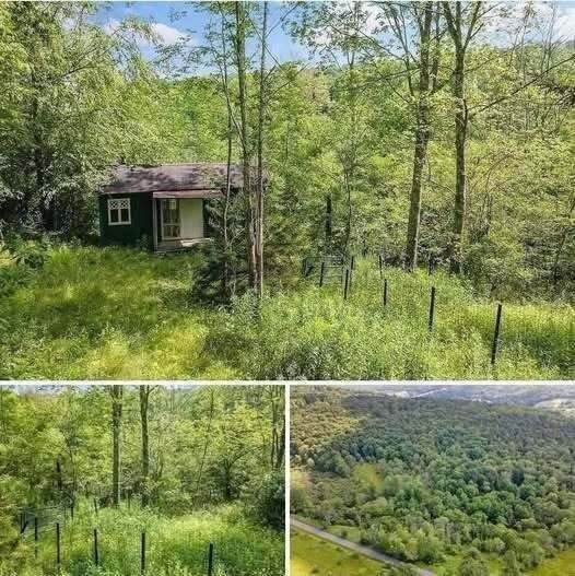 $19,000 No neighbors, no noise. Price cut: $6K…See More